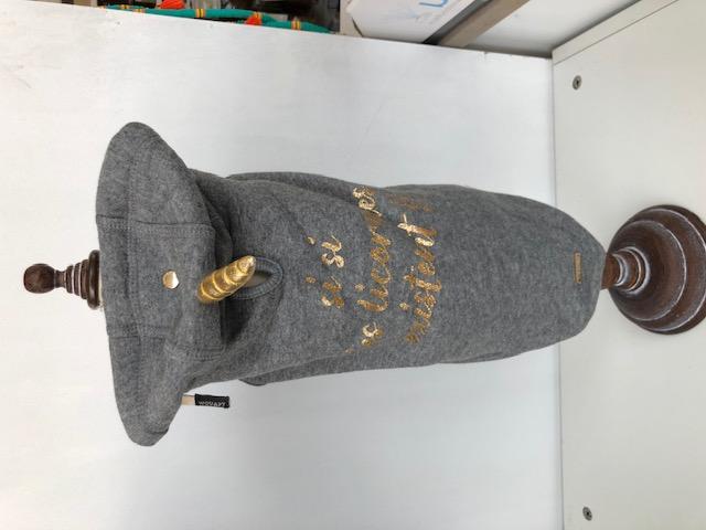 Hoodie Show Grau
