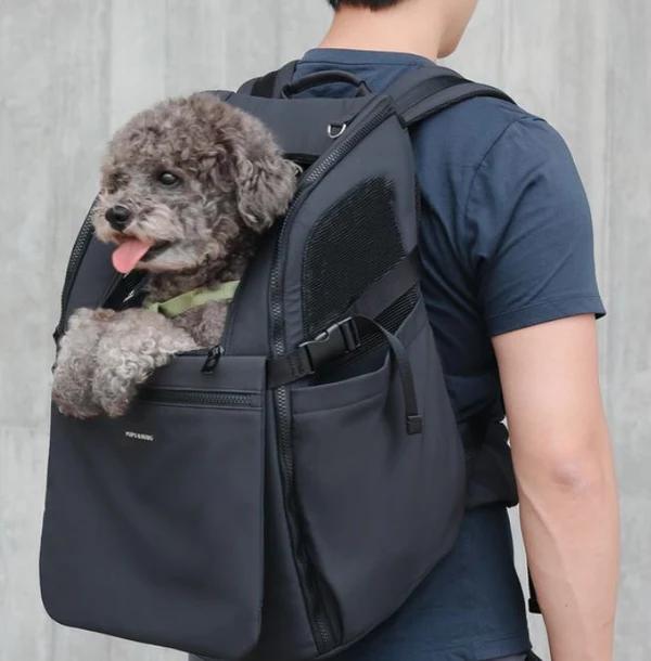 Hunderucksack Backpack
