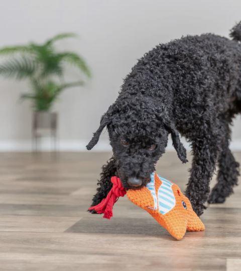 Hundespielzeug Seestern – Bild 3