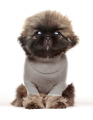 Hoody HENRIK – Bild 3
