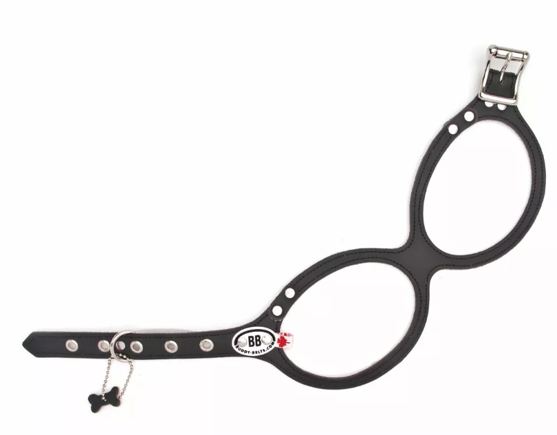 Buddy Belt Geschirr Black