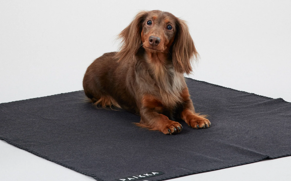 Hundedecke Recovery Grey