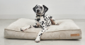 Cordo Hundekissen Greige – Bild 4