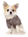 Hoody POP UP – Bild 3