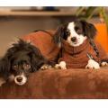 Dryup Cape mini Braun – Bild 2