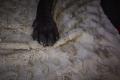 Decke COZY Beige – Bild 5