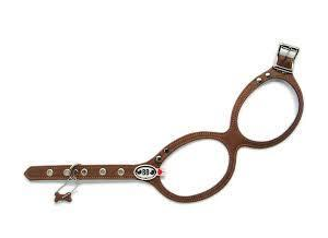 Buddy Belt Geschirr Driftwood