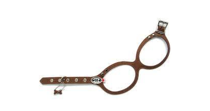 Buddy Belt Geschirr Driftwood