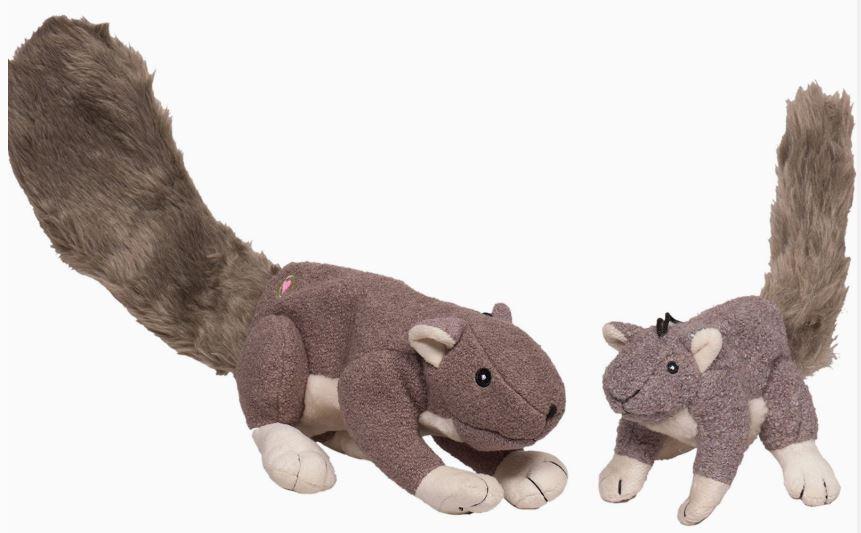 Eichhörnchen Knootie Braun