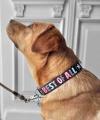 Halsband BEST OF ALL Praline – Bild 3
