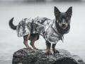 Hunderegenmantel reflektierend Camo – Bild 2