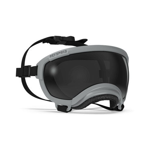 REX Space Hundebrille V2 Grau
