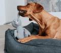 Hundespielzeug Marle Schwein Blau – Bild 3