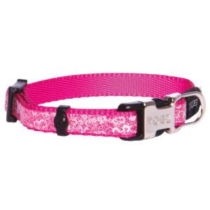 Halsband Trendy