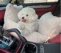 Moncarseat Fur Edition – Bild 4