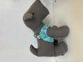 Harness aus Leder Aqua Mare – Bild 3