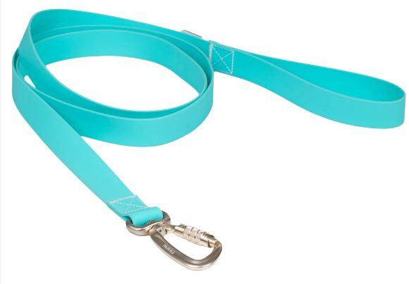Glow Leine Aqua