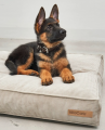 Cordo Hundekissen Greige – Bild 2