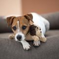Hundespielzeug Doggy Dog oder Doggy Dog Jr., Beige – Bild 6