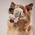 Hundespielzeug Tapsi und Richie Retriever – Bild 3