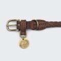 Hundehalsband Ravello Hazel – Bild 2