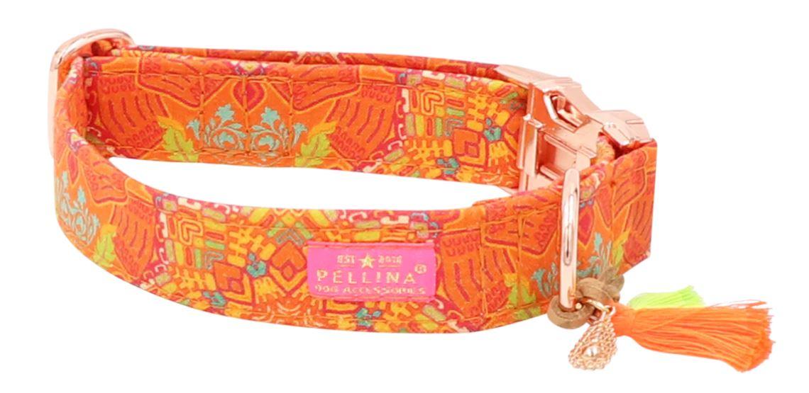 Hundehalsband Crazy mit Silber Orange