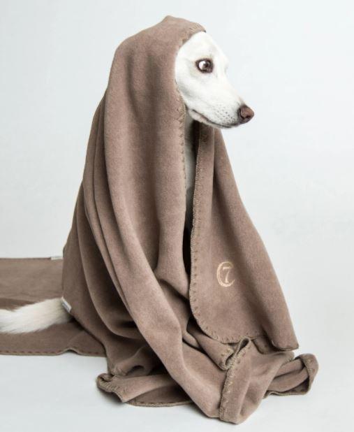 Hundedecke Soft Fleece Sand