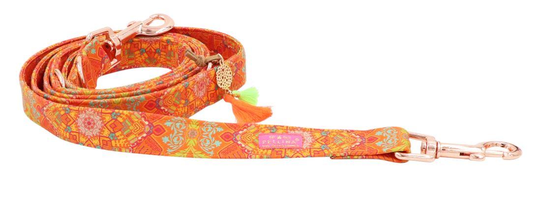 Leine Crazy mit Karabiner Silber Orange