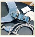 Harness in Leder Hellblau – Bild 4