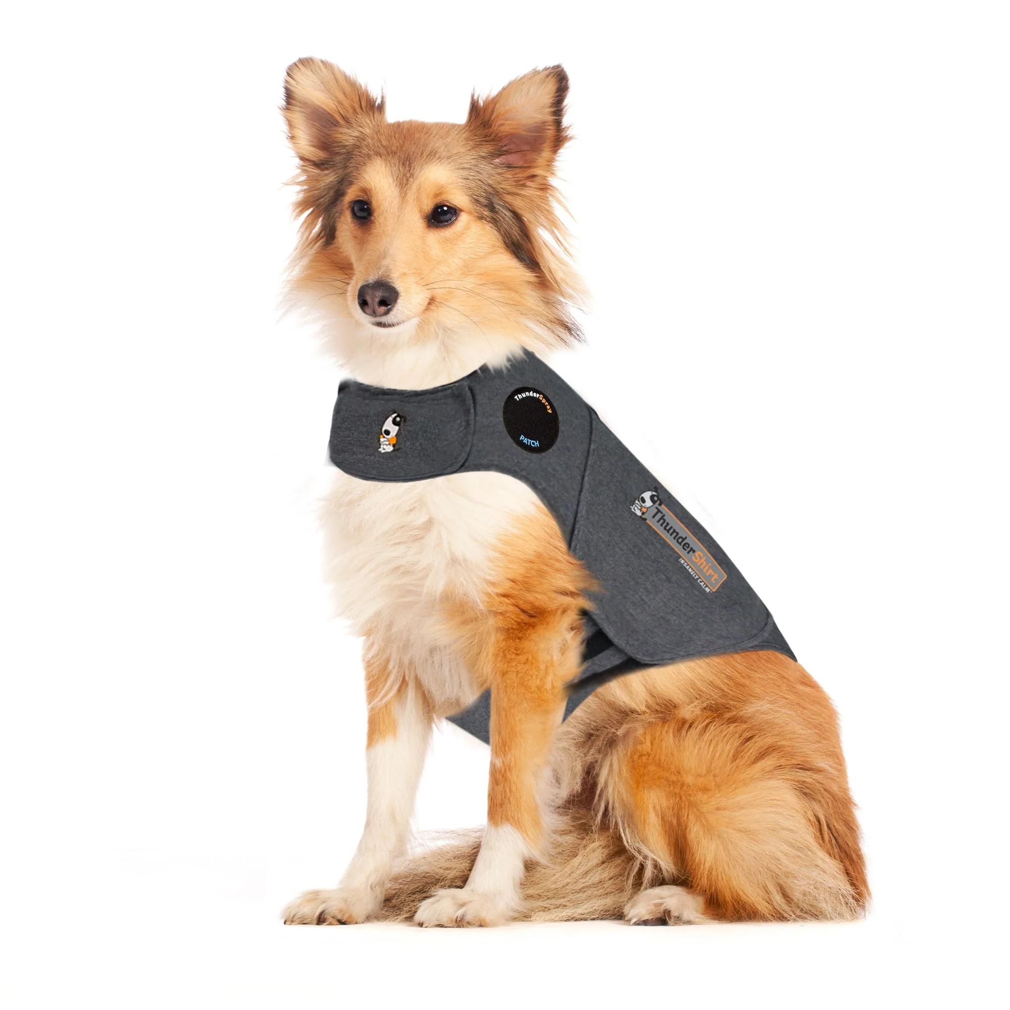 Thundershirt – Bild 2