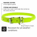 Lederhalsband round Grün – Bild 2