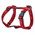 Geschirr Alpinist – Bild 3