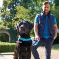 Verst. Führleine Softie Türkis – Bild 2