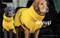Dryup Cape Yellow – Bild 4