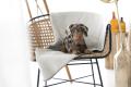 Hundedecke REVERSO, Grey – Bild 5