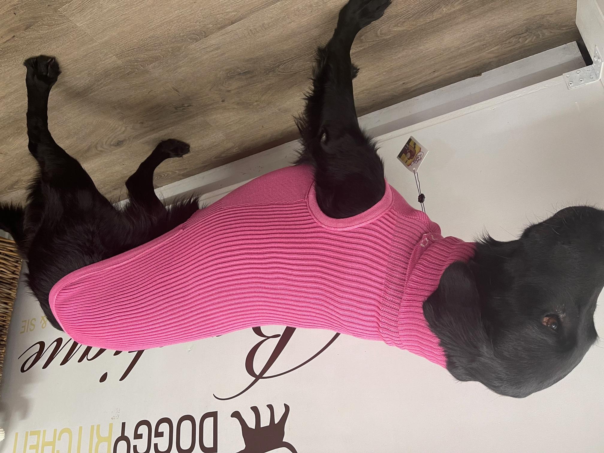 Strickpullover LEVRIERI Fuchsia