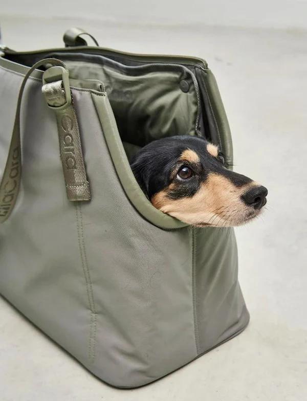 Sporta Hundetragtasche Grolive – Bild 2