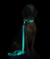 Glow Leine Aqua – Bild 3
