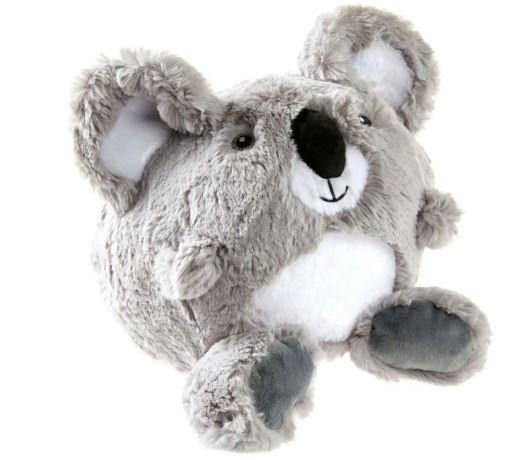 Koala – Bild 2