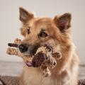 Hundespielzeug Doggy Dog oder Doggy Dog Jr., Beige – Bild 8