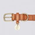Halsband Hyde Park Cognac – Bild 3