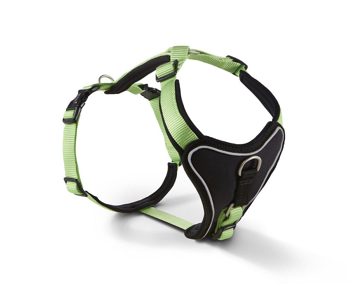 Geschirr Prof. Comfort Kiwi/Schwarz