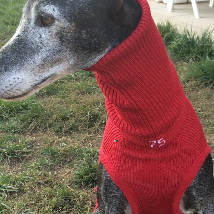 Strickpullover LEVRIERI Rot