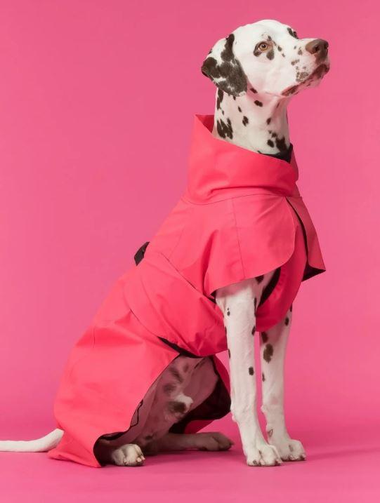 Hunderegenmantel reflektierend Lite Hot Pink