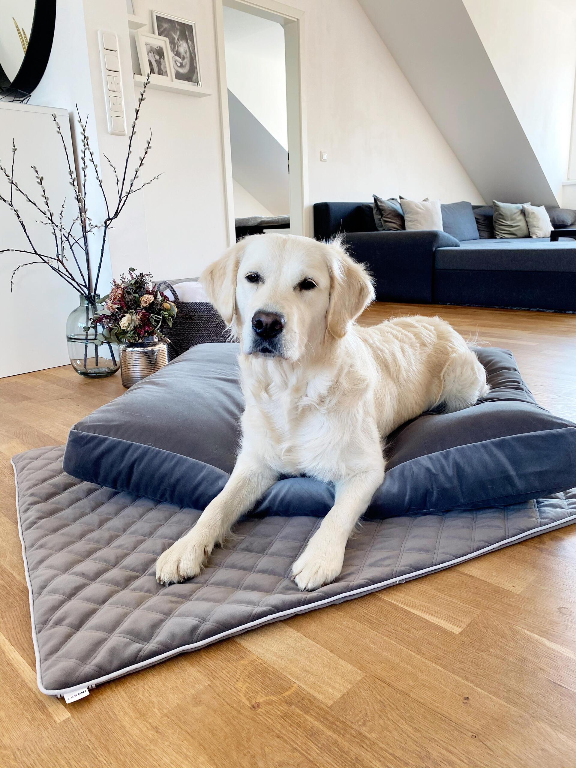 Hundesteppdecke Oxford - Samt Taupe