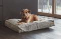 Cordo Hundekissen Kiesel – Bild 2