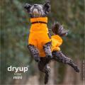 Dryup Cape mini Clementine – Bild 2