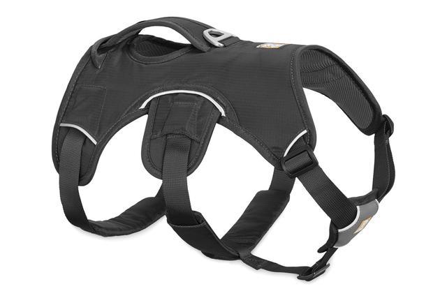 Web Master Harness Twilight Grey