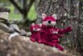 Fuchs Knottie – Bild 2