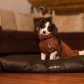 Dryup Cape mini Braun – Bild 3